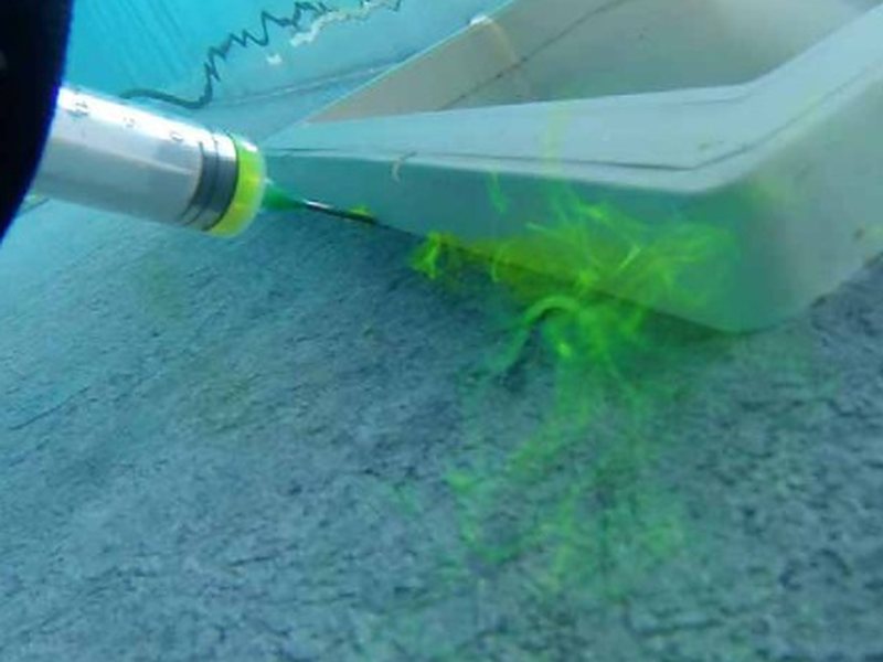 Fluorescein and UV lamp
